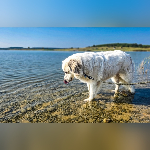 Meet your Posher, Megan - Picture 8 of 9